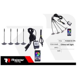 Σετ φωτισμού καμπίνας αυτοκινήτου LED - R-D20101-P4 - 110026C