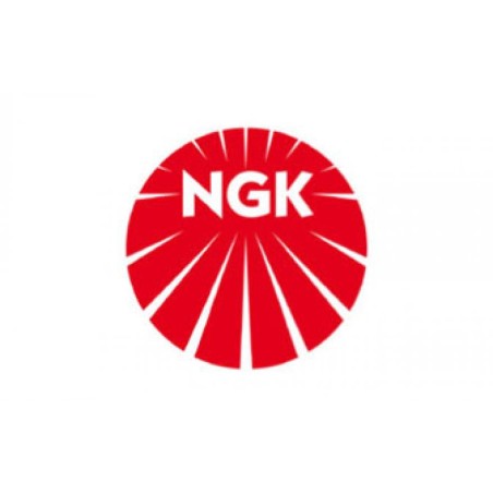NGK Spark Plug BR10EG