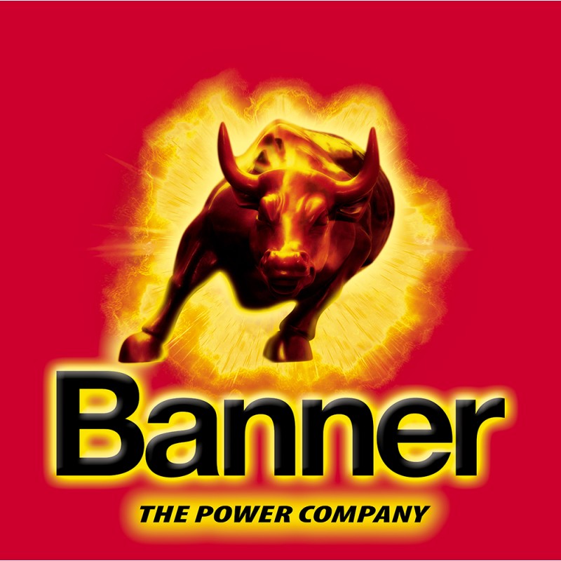 BANNER BANNER Buff. Bull 12V 110Ah EN 800A 344x175x230mm 610 11