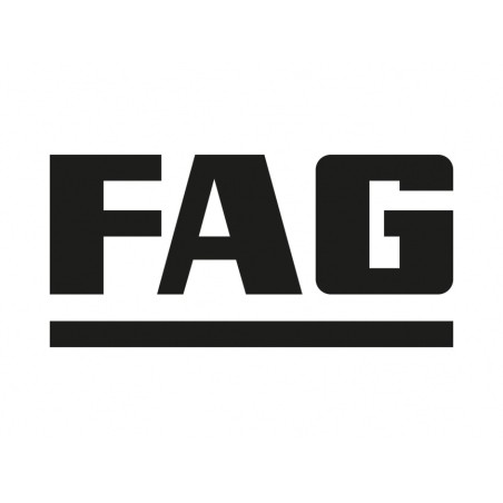 FAG Cap de bara 840 1552 10