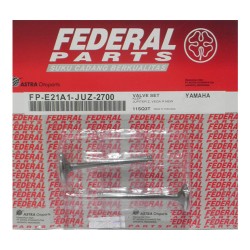 Βαλβίδες Σετ Εισ/Εξ FEDERAL CRYPTONR-115 '04 NEW