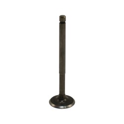 Βαλβίδα Εισαγωγής OEM ZIP100,FLY100-4T