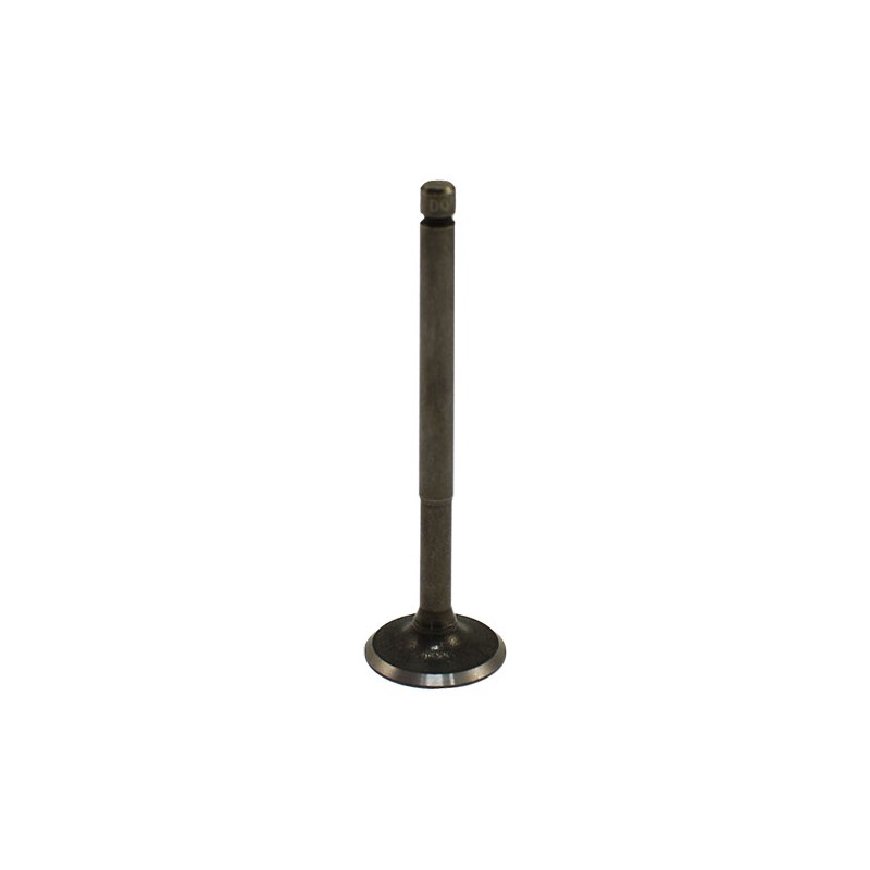 Βαλβίδα Εισαγωγής OEM ZIP100,FLY100-4T