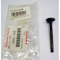 Βαλβίδα Εξαγωγής  OEM KAZE-RE1
