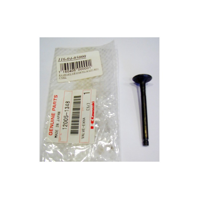 Βαλβίδα Εξαγωγής  OEM KAZE-RE1