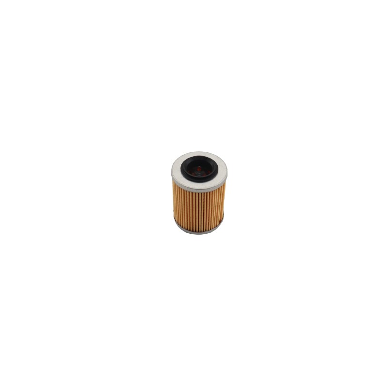 Φίλτρο Λαδιού Χάρτινο (L) Κάρτερ CF400/450/600'20-22,CF800/1000'17-21