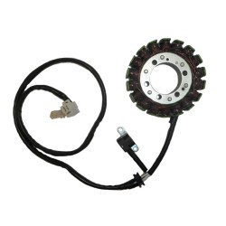 Πηνιοφόρος ELECTROSPORT ESG791 FZS600FAZER'98-04
