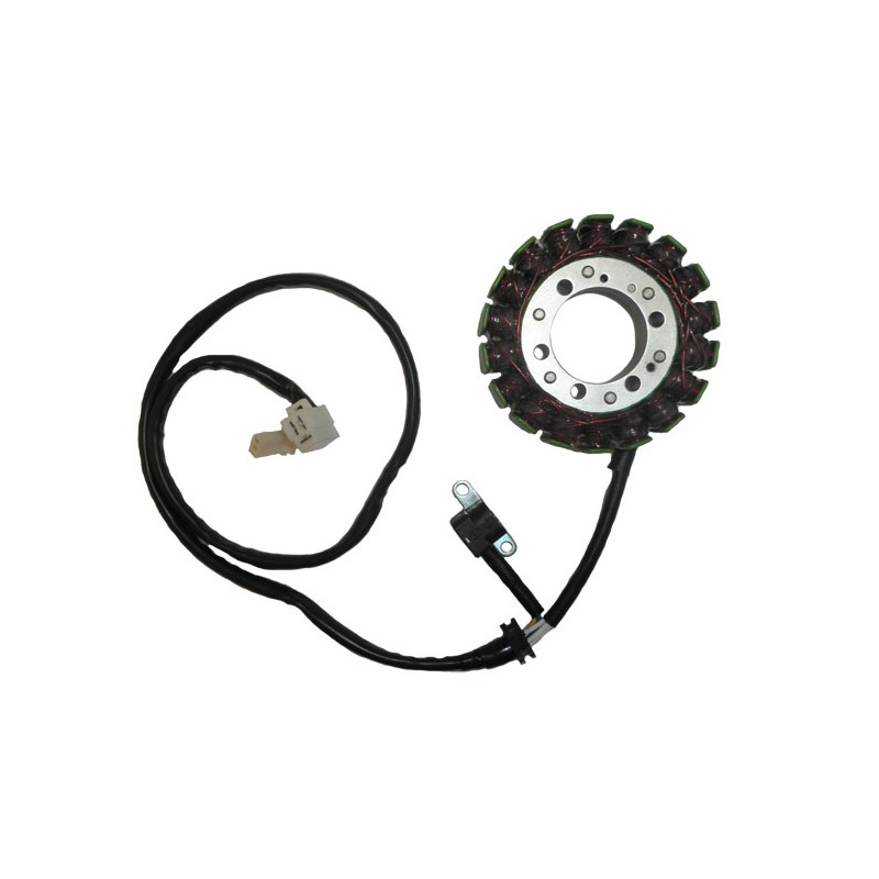 Πηνιοφόρος ELECTROSPORT ESG791 FZS600FAZER'98-04