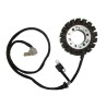 Πηνιοφόρος ELECTROSPORT ESG791 FZS600FAZER'98-04
