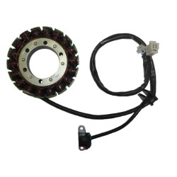 Πηνιοφόρος ELECTROSPORT ESG562 DL1000V-STROM