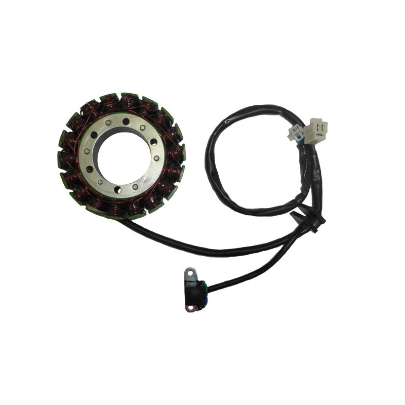 Πηνιοφόρος ELECTROSPORT ESG562 DL1000V-STROM