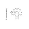 Γρανάζι Κίνησης RK 3081-T13 (JTF505) KAZE-R