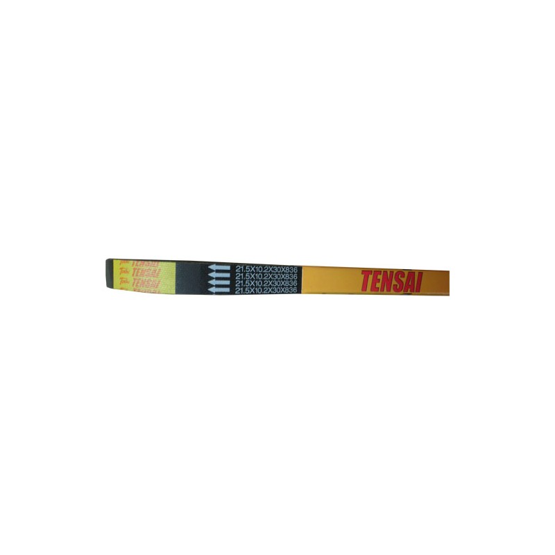 Ιμάντας TENSAI/MITSUBA 836X30X10.2X21.5 HEXAGON180 2T 98-,RUNNER180FXR/SP 2T 97/02