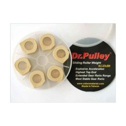 Μπίλιες Φυγοκεντρικού DR.PULLEY SR21X15X15GR