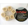 Μπίλιες Φυγοκεντρικού DR.PULLEY SR25X22X26GR BEVERLY500 -2004