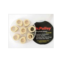Μπίλιες Φυγοκεντρικού DR.PULLEY SR30X18X10GR