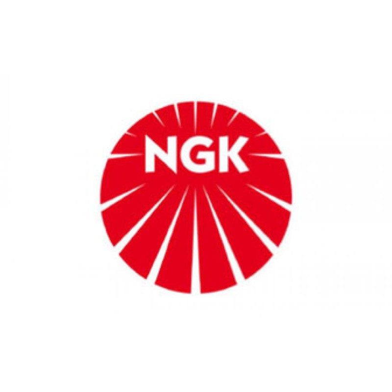 NGK Ignition Cable Kit RC-FT1202