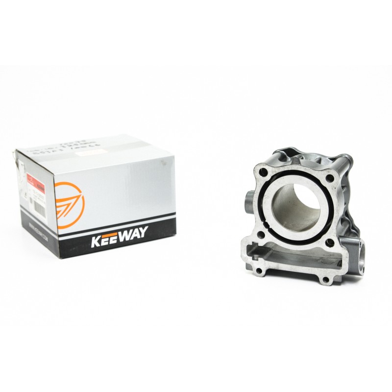 Κύλινδρος Μεταλλικός OEM RKF125I