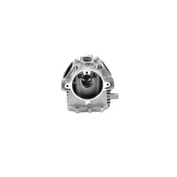 Κεφαλή OEM VIESTE125 E5