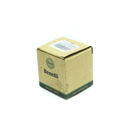 Πιστόνι Κομπλέ STD OEM BENELLI/BN251 ABS E4/E5,TRK251 E4/E5,LEONCINO250 E5