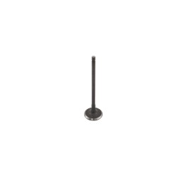 Βαλβίδα Εισαγωγής OEM BENELLI/RCX185I