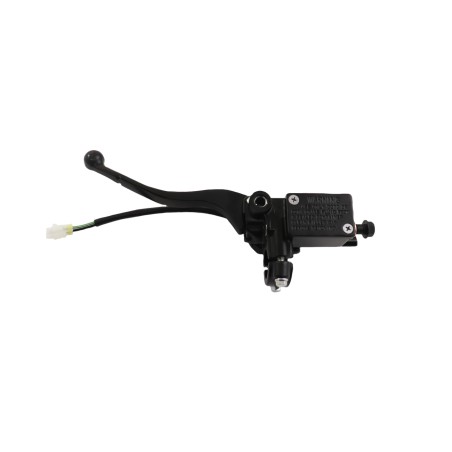 Αντλία Δισκόφρενου Πίσω με Μανέτα OEM MBP SC125LX
