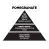Αρωματικό Χώρου Σε Μαύρο Μπουκάλι Με Μαύρα Sticks "Pomegranate" 100ml Themagio 77330