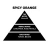 Αρωματικό Χώρου Σε Μαύρο Μπουκάλι Με Μαύρα Sticks "Spicy Orange" 200ml Themagio 77333