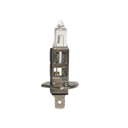 Λάμπα Αλογόνου H1 12V 55w Trifa 1655 1 Τεμάχιο